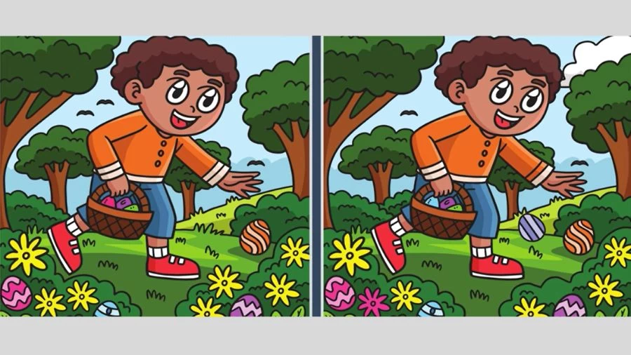 Only 1% of attentive people can spot 5 differences in the Giraffe picture in 20 seconds!