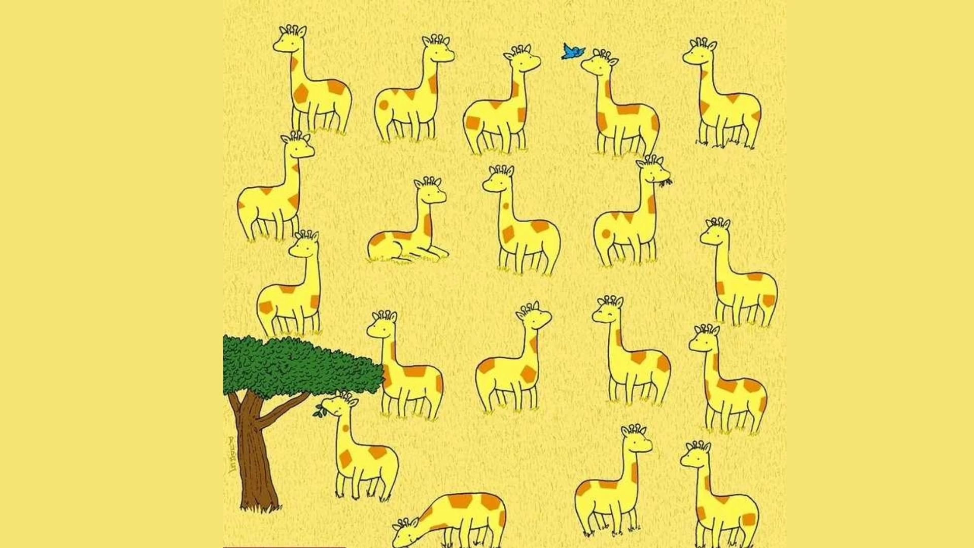 If You Have Sharp Eyes Spot the Giraffe With No Pair in Picture within 12 secs?