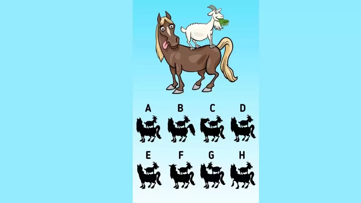 Solve the Puzzle Where 6+8=5 by Removing 2 Sticks to Fix the Equation