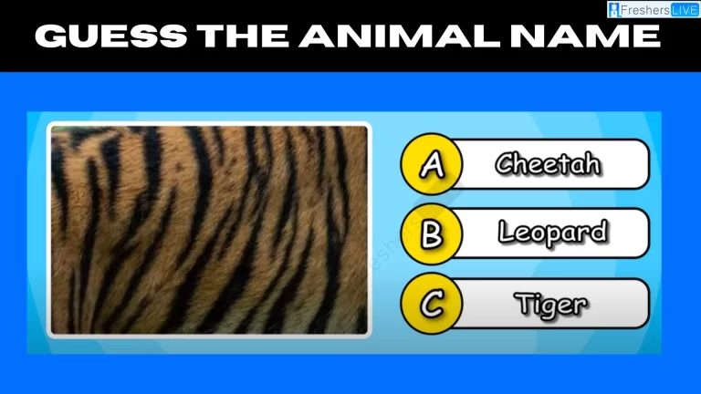 Only 10% Of Genius Can Guess The Animal From The Zoomed Image