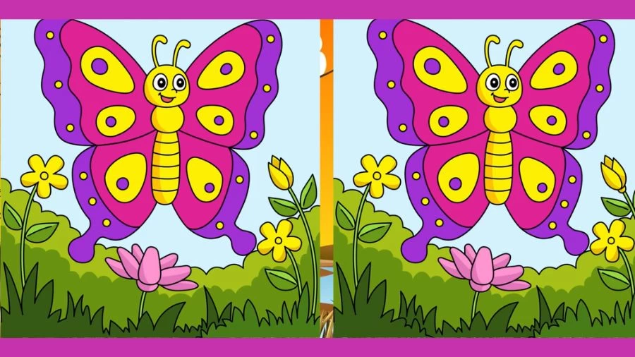 Only 1% of attentive people can spot 5 differences in the Giraffe picture in 20 seconds!