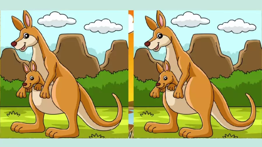 Optical Illusion Spot the Difference Picture Puzzle: Can you Find the 3 Difference Between Two Images?