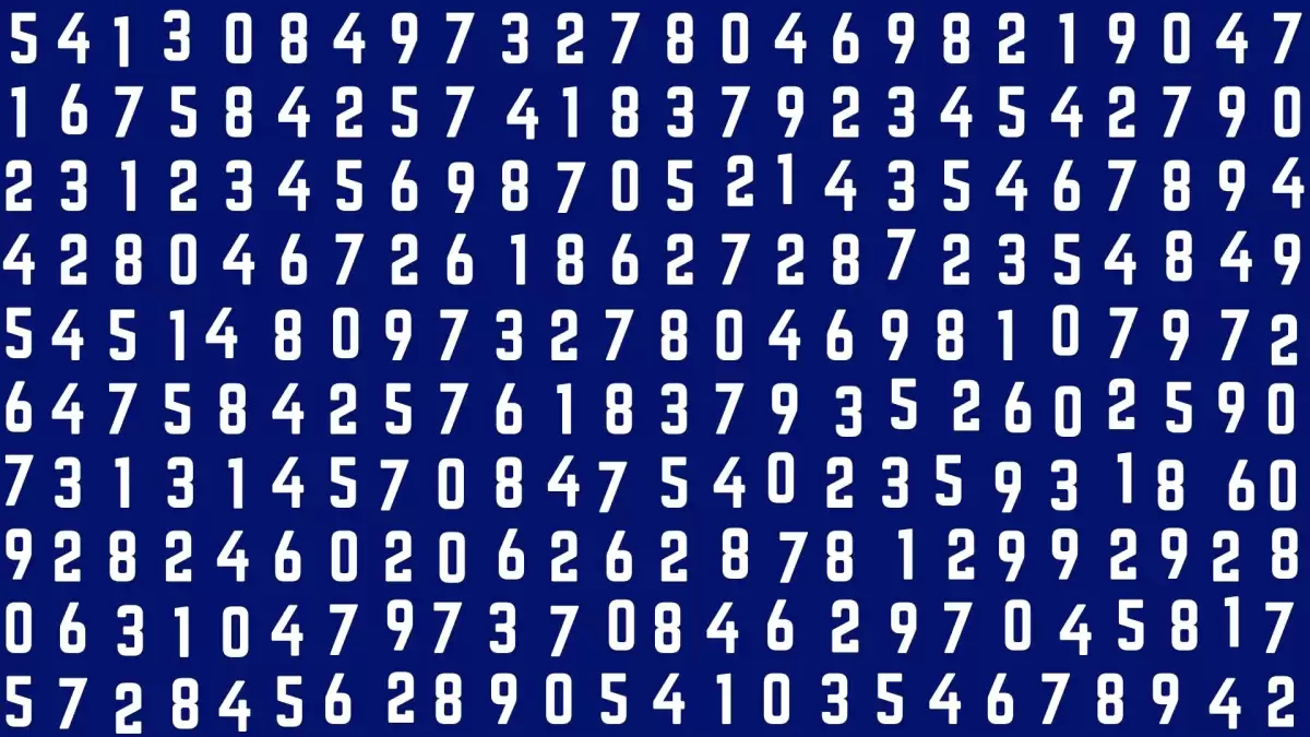 Quick-Thinker s Challenge Find the Hidden Number 506 in Just 10 Secs