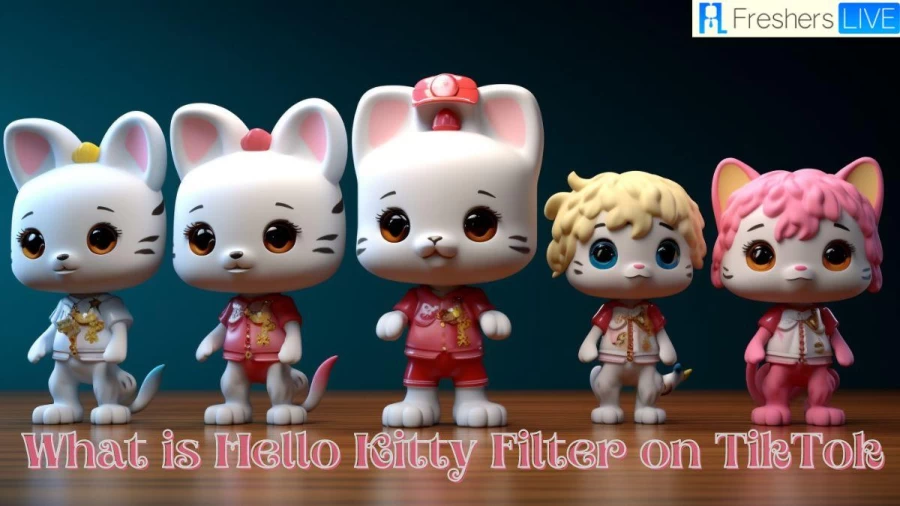 What is Hello Kitty Filter on Tiktok? How to Get Hello Kitty Filter on Tiktok?