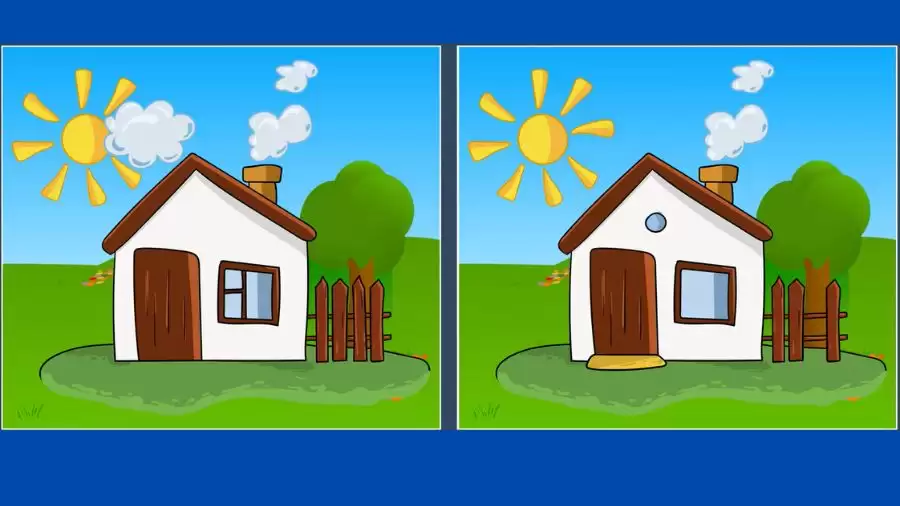 Brain Teaser Picture Puzzle: Only a genius can find the 5 differences in less than 25 seconds!