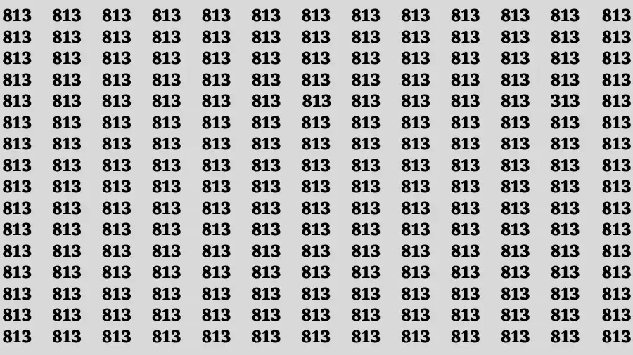 Observation Find it Out: If you have Eagle Eyes Find the Number 313 in 15 Secs