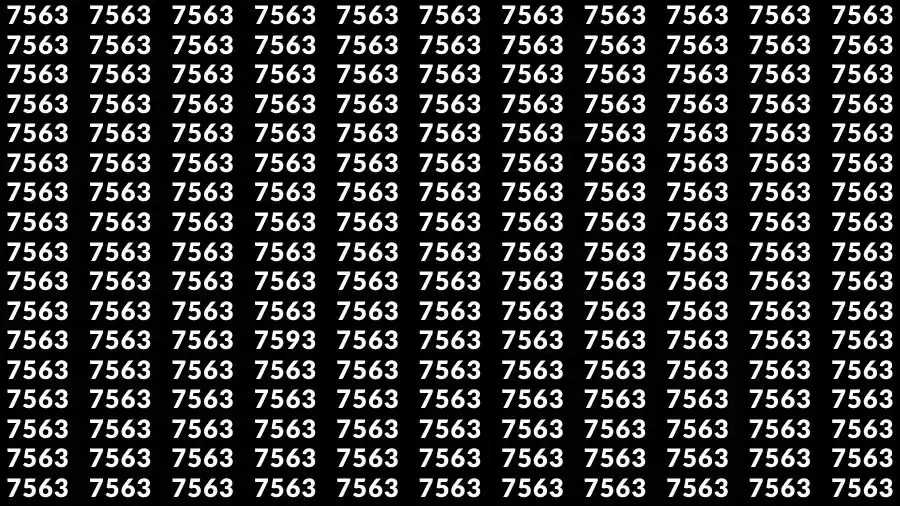 Observation Skill Test: If you have Hawk Eyes Find the number 7593 among 7563 in 13 Seconds?