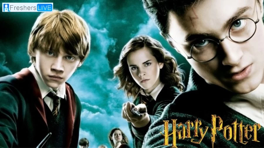 Is Harry Potter on Disney Plus? Where to Watch Harry Potter?