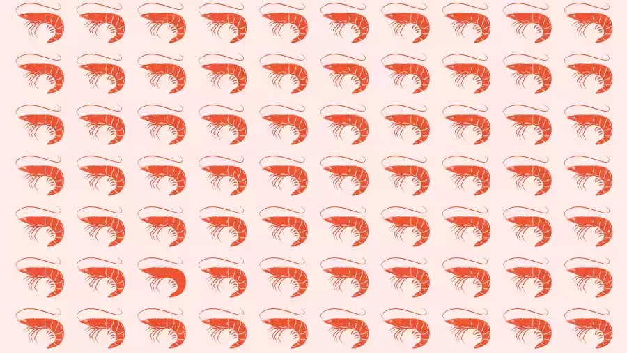 Observation Skills Test: Can you find the odd Prawn within 12 seconds?