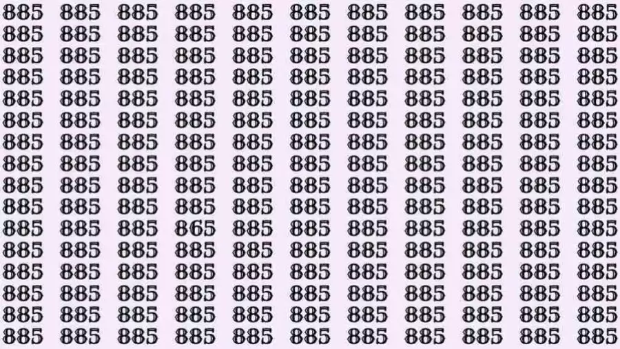 Optical Illusion: If you have sharp eyes find 865 among 885 in 12 Seconds?