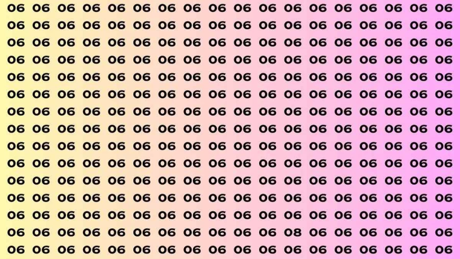 Observation Brain Test: If you have Sharp Eyes Find the number 08 among 06 in 12 Secs