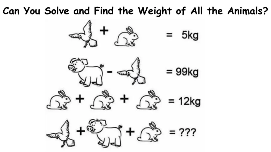 Brain Teaser: Can You Solve and Find the Weight of All the Animals Taken Together?
