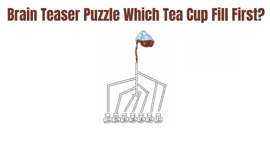Brain Teaser Logic Puzzle: Which Tea Cup Fill First?