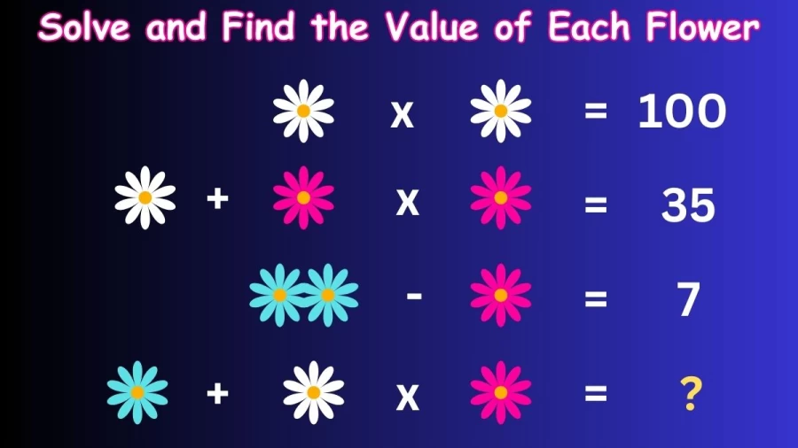 Brain Teaser: Solve and Find the Value of Each Flower in less than 20 secs