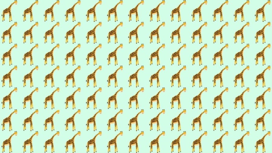 Optical Illusion Find and Seek Picture Puzzle: If You have Sharp Eyes find the Number 5 Among S in 8 Secs