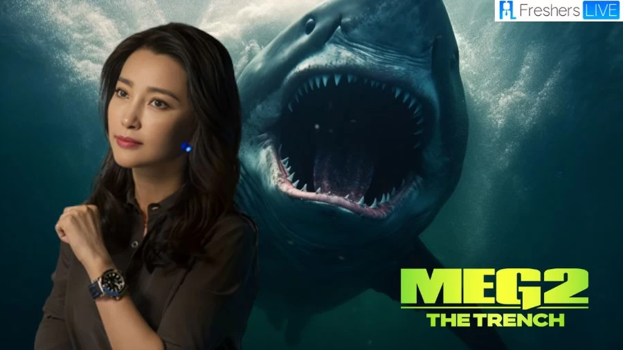 What Happened to Suyin in the Meg 2? How Did Suyin Die in the Meg 2?