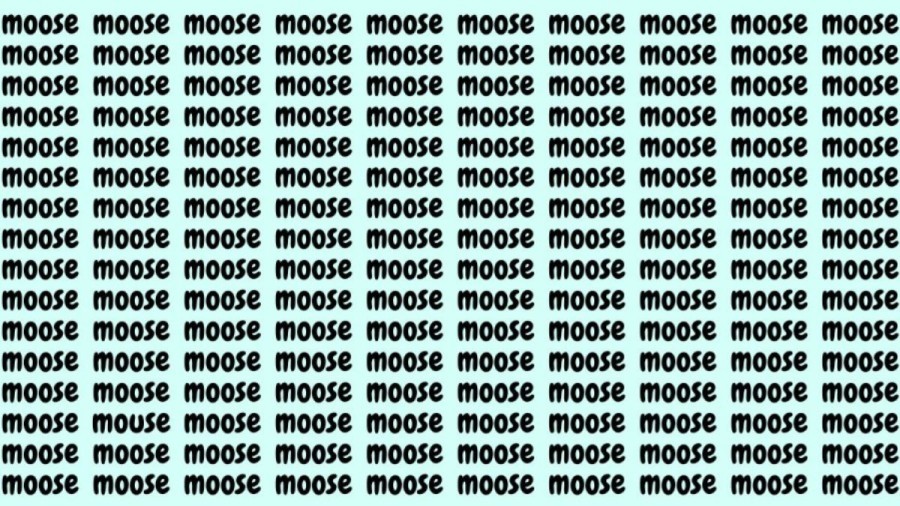 Optical Illusion: If you have Hawk Eyes find the Word Mouse among Moose in 20 Secs