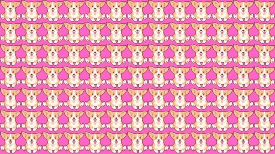 Can you Spot the Odd One Out in this Image within 14 Secs? Explanation and Solution to the Optical Illusion