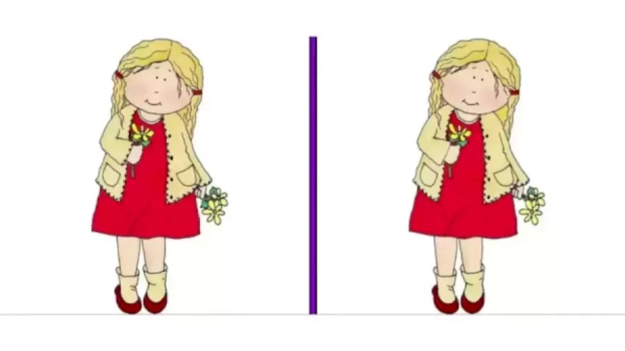 Brain Teaser Spot The Difference: Can you spot all the difference between these two images in 20 secs?