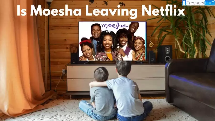 Is Moesha Leaving Netflix? Why is Moesha Leaving Netflix?