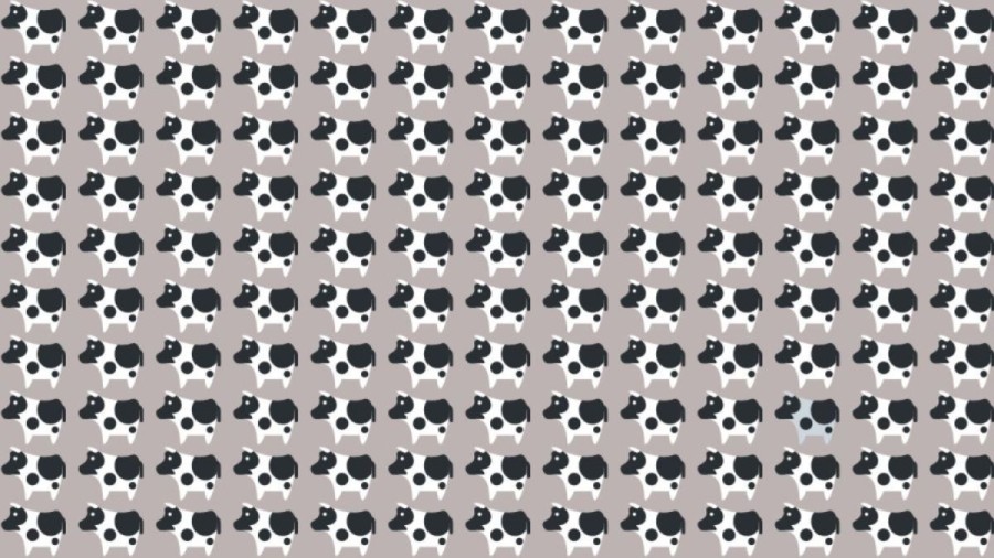 Observation Skills Test: Can you find the odd Cow out in 10 seconds?