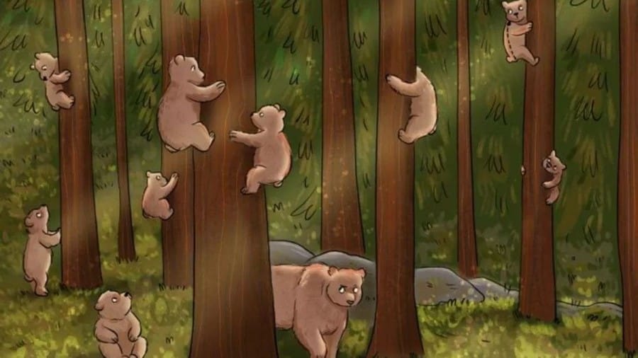 Optical Illusion Brain Test: Can you find the hidden Human among Bears within 15 Seconds?
