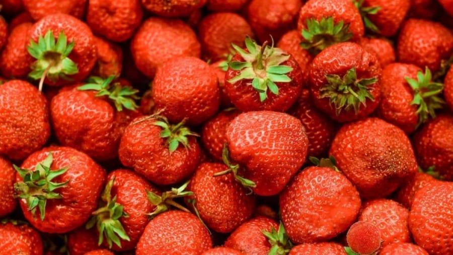 Optical Illusion: Can You Find a Myrica Rubra Among these Strawberries in 12 Seconds?