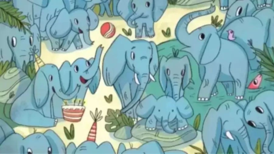 Optical Illusion: Can You Find the Hidden Rhino among the Elephants within 10 Secs?