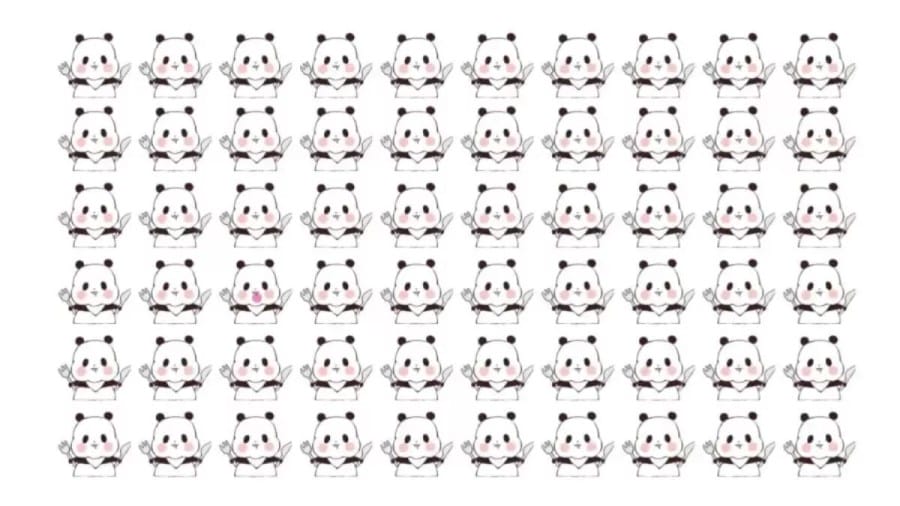 Optical Illusion: Can You Spot the Different Panda in 12 Seconds?