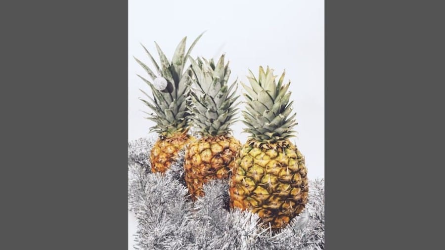 Optical Illusion Find And Seek: spot the Feather among these Pineapples in less than 24 seconds if you are a Champion