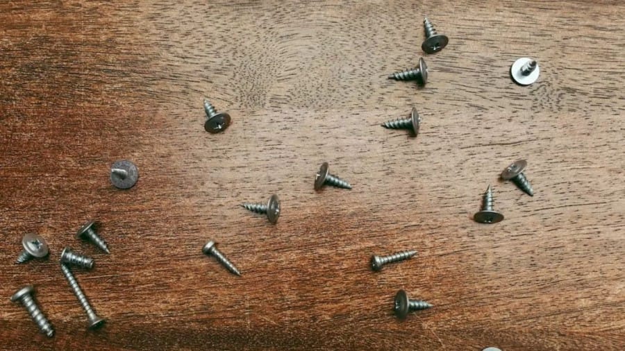 Optical Illusion Find and Seek: Among these Screws, Find the Currency Coin in less than 10 Seconds