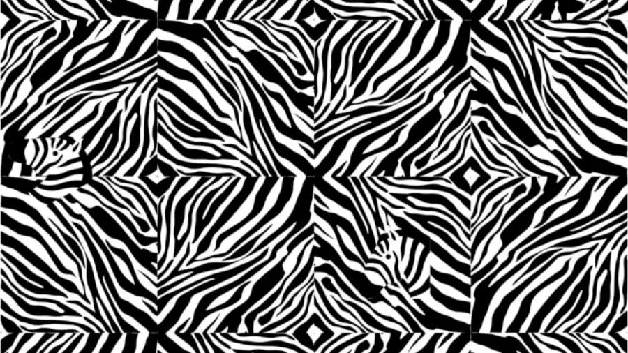 Optical Illusion: How Many Zebras Can You Find in this Image? Explanation and Solution to the Optical Illusion