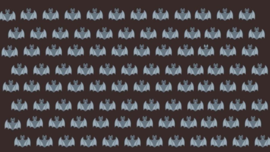 Optical Illusion To Test Your Brain! You Have 25 Seconds. Try To Identify The Different Bat. Your Time Starts Now!