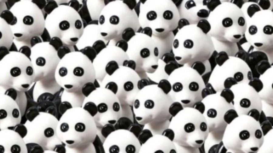 Optical Illusion Visual Test: Can you find the Dog hidden among Pandas in 5 Secs?