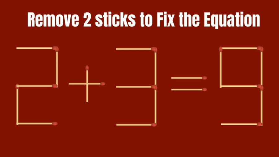 Remove 2 Sticks and fix the Equation 2+3=9