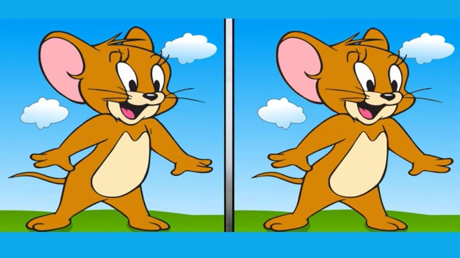 Spot the difference: Only a genius can find the 5 differences in less than 35 seconds!
