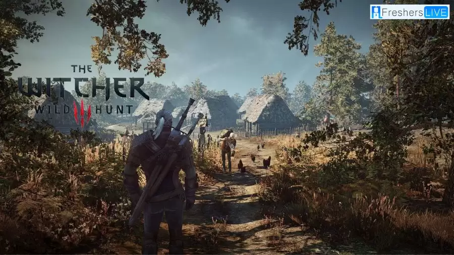 The Witcher 3 Treasure Hunt: a Costly Mistake Side Quest Walkthrough