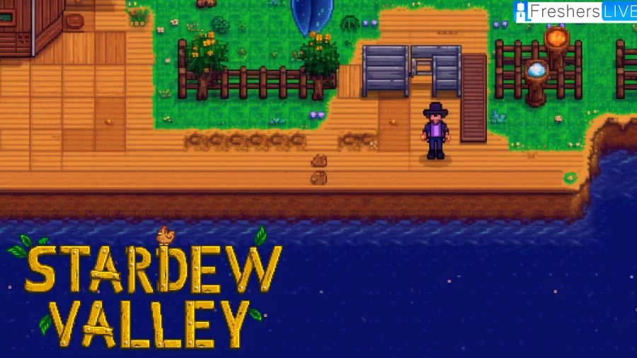 Where to Find Eel Stardew Valley? How to Get Eel Stardew Valley?