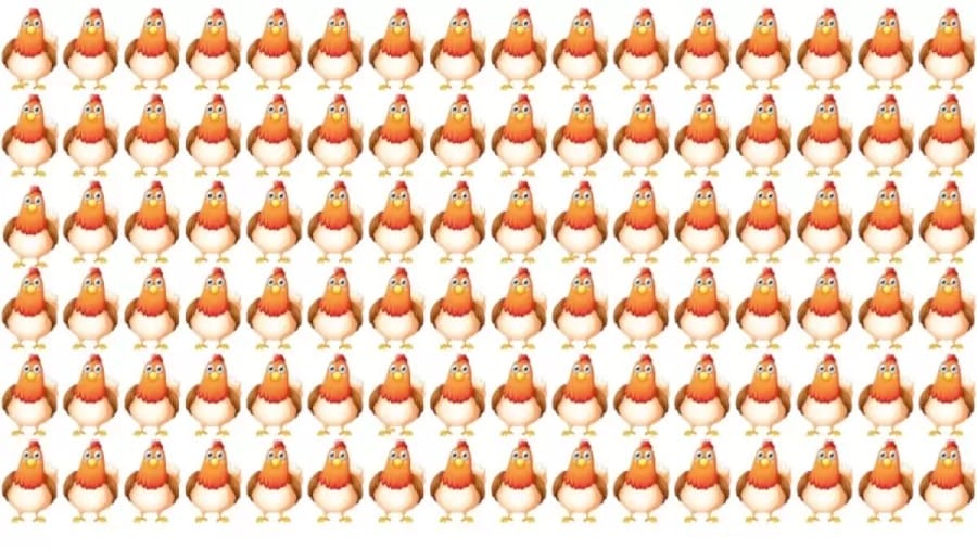 Brain Teaser: How Many Three-Legged Hens Can You Spot In This Picture Puzzle?