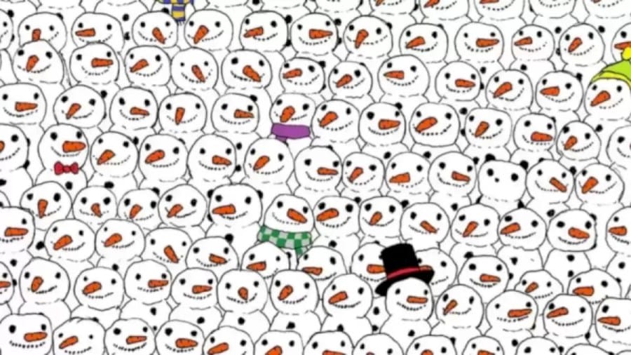 Optical Illusion IQ Test: Can You Detect the Hidden Panda Among the Snowman?